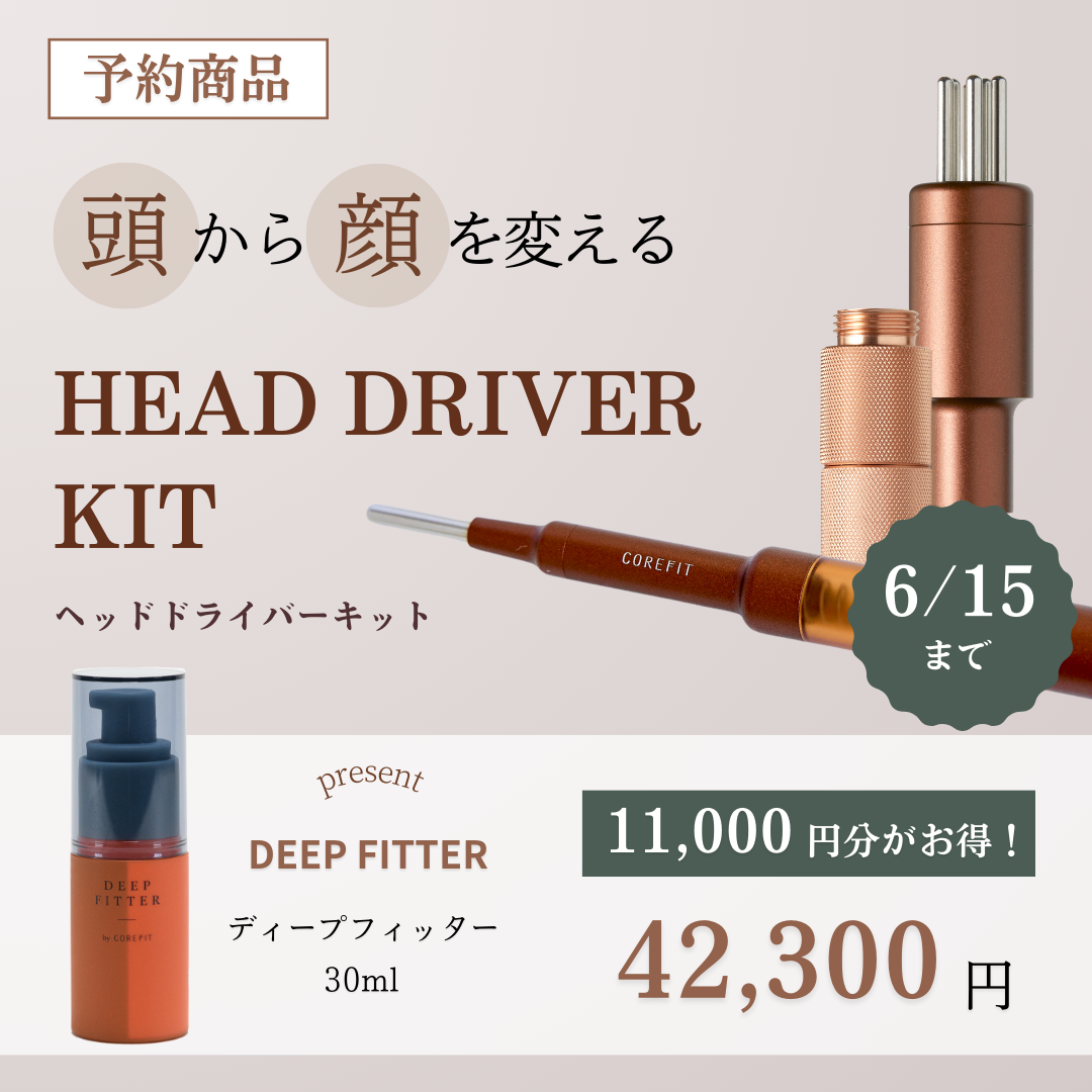 HEAD DRIVER KIT（ヘッドドライバーキット）旧FacePointerD-pro_2405